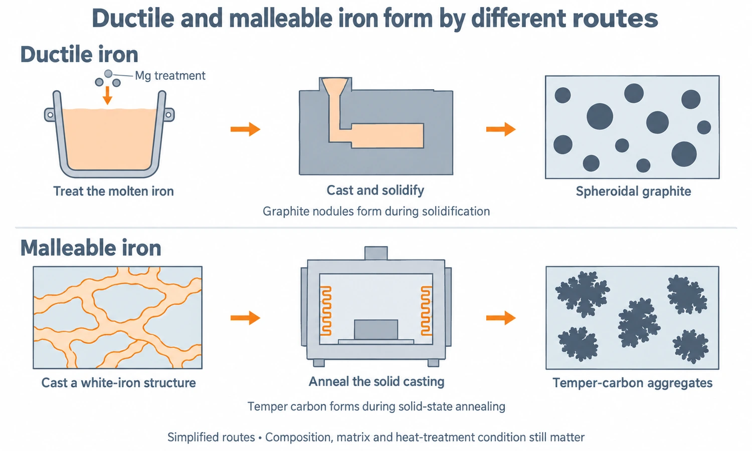 Ductile iron develops graphite nodules during solidification after melt treatment; malleable iron develops temper carbon by annealing a white-iron casting.